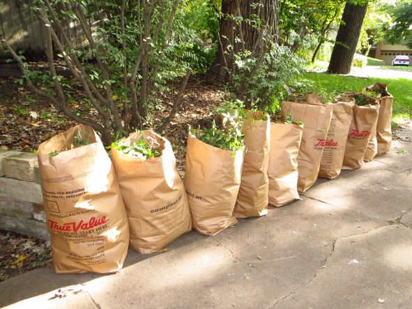  Yard Waste Collection and Street Sweeping to Begin Week of April 4th