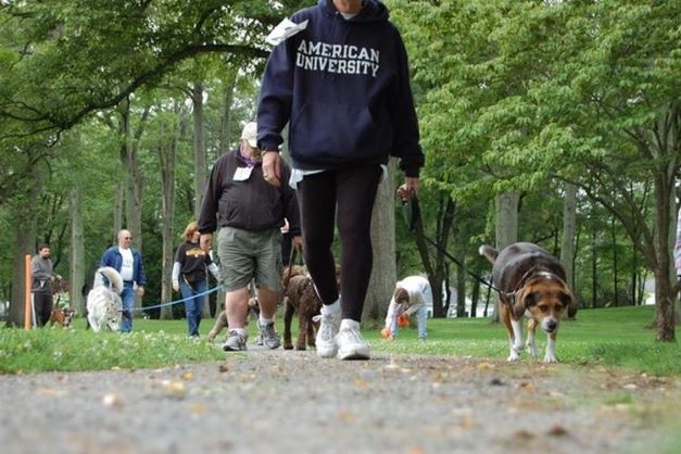  Woonsocket Dogs to Get a Treat!