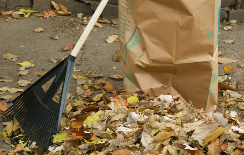  YARD WASTE COLLECTION AND STREET SWEEPING TO BEGIN WEEK OF APRIL 2ND