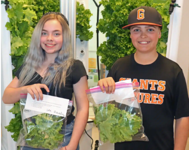  Carver Fifth Graders Bring Fresh Food to Their Kitchen Tables Following Hydroponic Lettuce Harvest