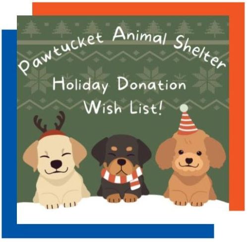  Donate to Pawtucket Animal Shelter This Holiday